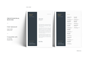 Standout Resume Template, a Resume Template by GraphicFlava (Thumbnail 4 of 7)