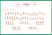 monkey, a Script Font by NJ Studio (Thumbnail 9 of 10)
