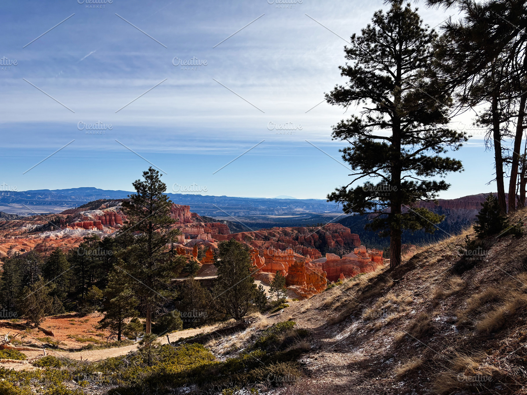 Scenic Utah canyon landscape with red rock formations and pine trees overlookin, a Nature Photo by AS photostudio
