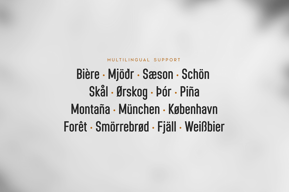 Nevis Ridge - Condensed Display Font, a Sans Serif Font by Thistle Type (Photo 8 of 9)