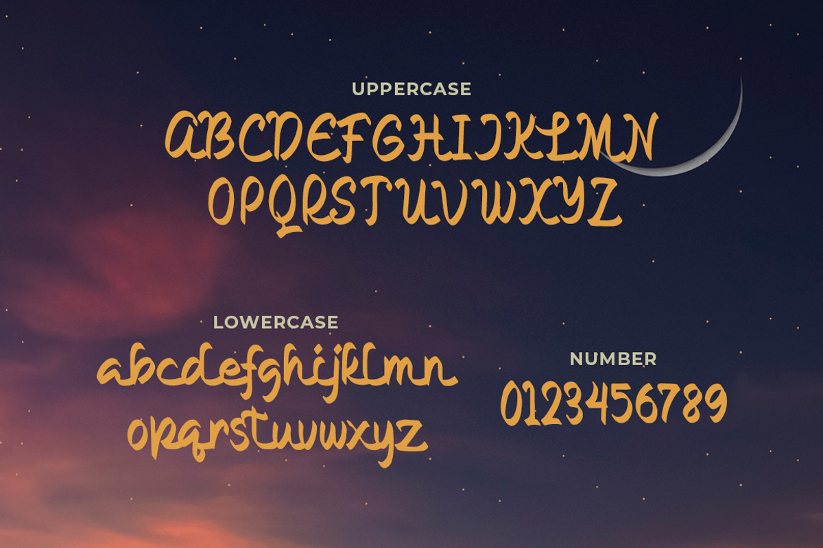 Rabiul - Arabic Style Typeface, a Script Font by Typefactoryco (Photo 3 of 8)