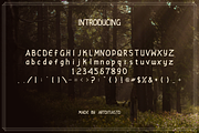 Pandoz font, a Sans Serif Font by artditiastd (Thumbnail 2 of 3)