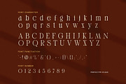 Menna Elegant Modern Serif Font, a Serif Font by Perfectype (Thumbnail 7 of 8)