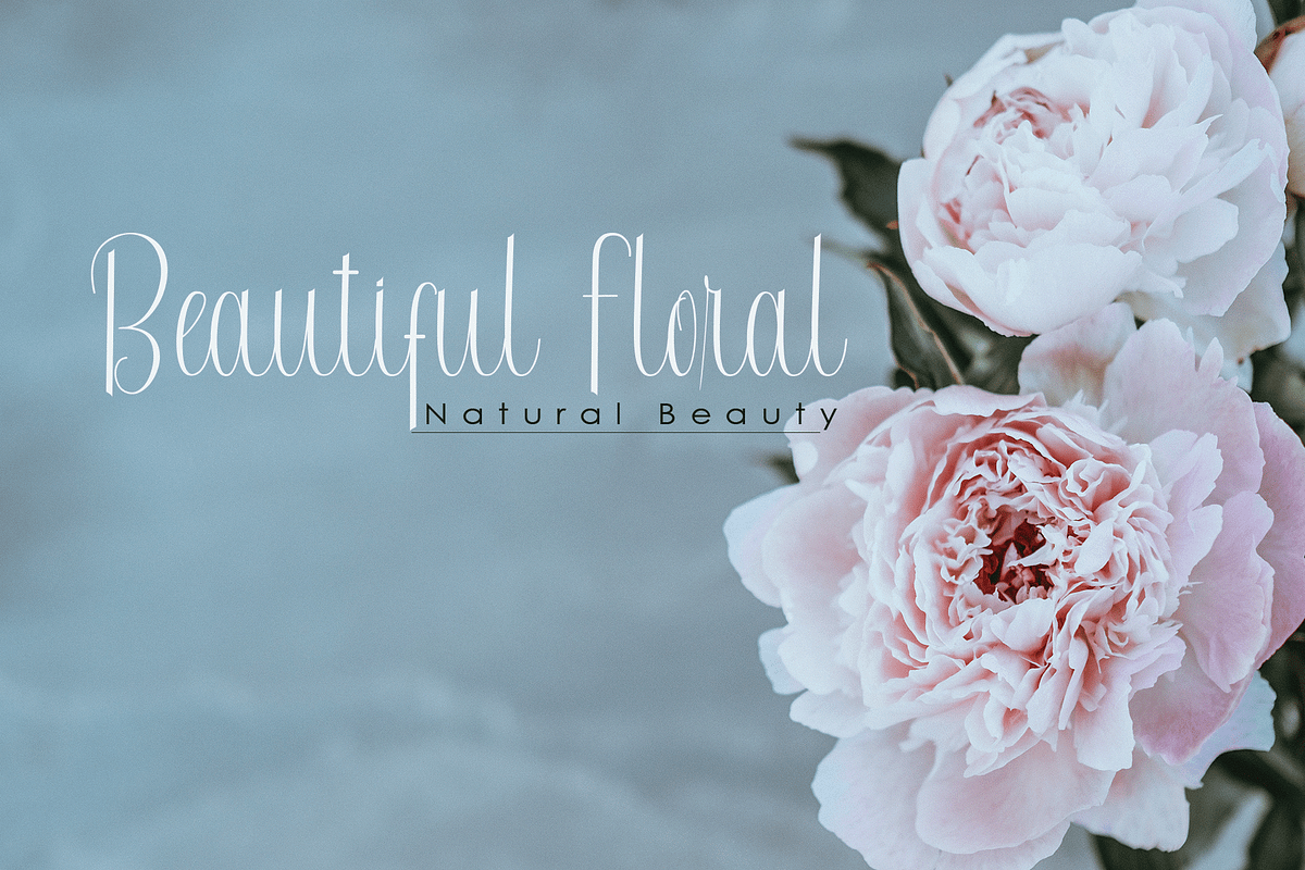 Radetta, a Script Font by PollemSt (Photo 7 of 10)