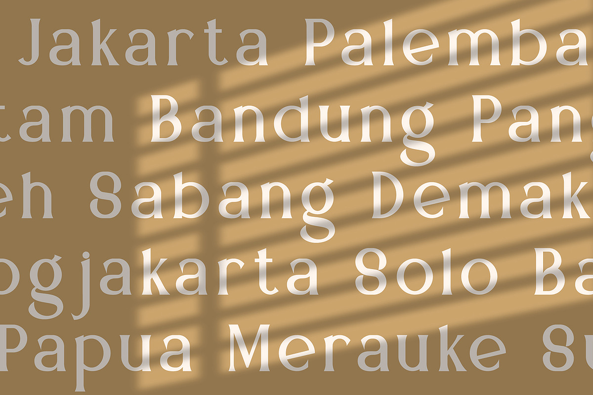 Mediqa - Classic Serif Font, a Serif Font by StringLabs (Photo 5 of 8)