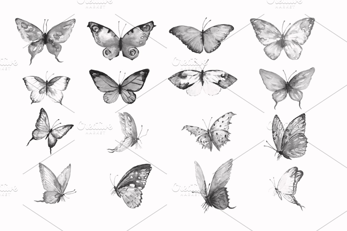 Photoshop Brush Watercolor Butterfly preview 5