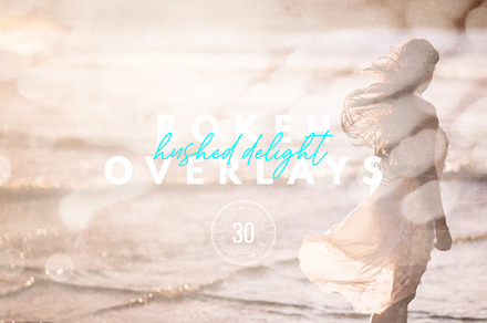 Hushed Delight Bokeh Texture Overlay