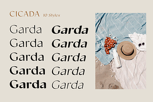 Cicada Font Family