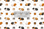 American Guinea Pig clipart, an Animal Illustration by pet design shop (Thumbnail 5 of 5)