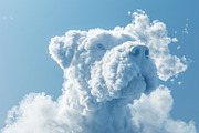 90 Clouds animals against a blue sky, an Animal Illustration by Handmadefont (Thumbnail 50 of 64)