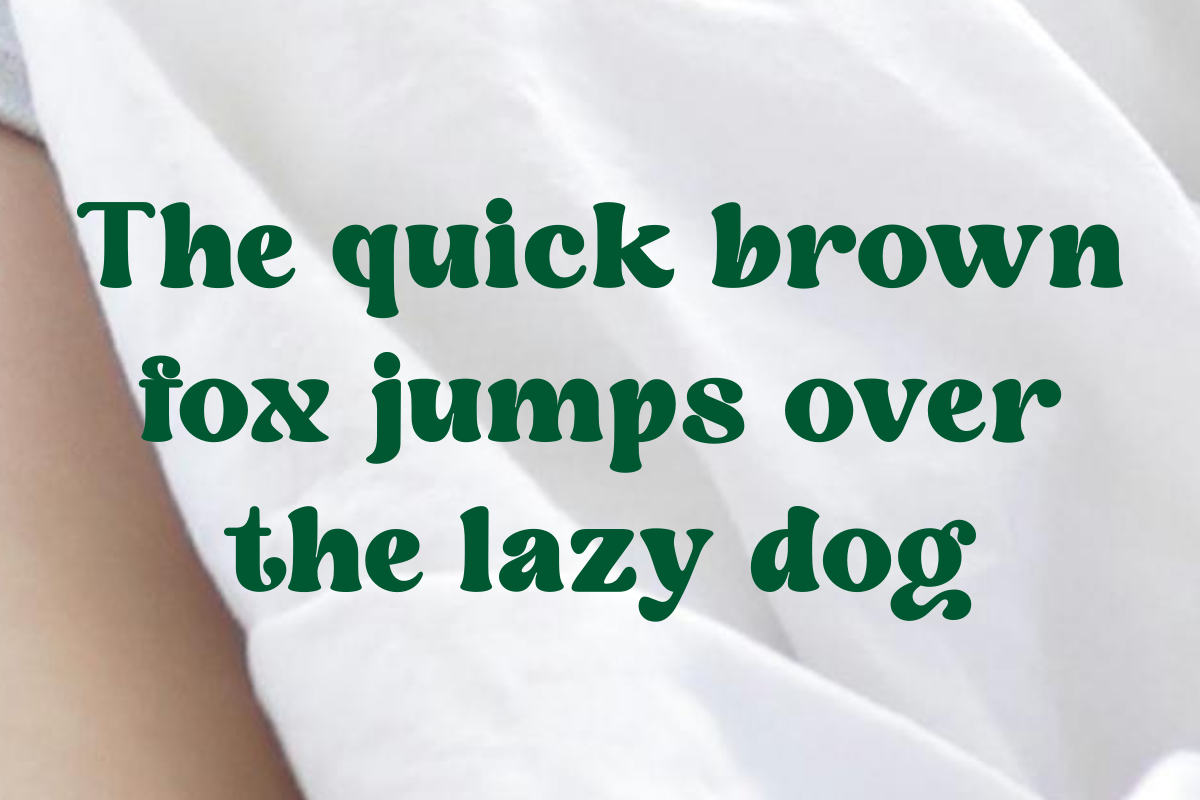 Daglin, a Serif Font by zaaintype (Photo 9 of 10)