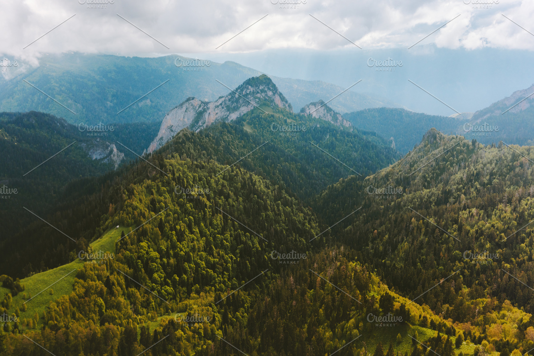 Aerial view forest and mountains landscape autumn nature majestic scenery in Ca, a Nature Photo by e v e r s t