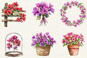 Bougainvillea Flower Clipart, an Illustration by OK Design (Thumbnail 5 of 5)