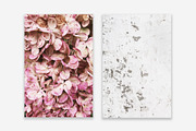 Lifestyle Bundles Collection 3, a Photo by Floral Deco (Thumbnail 41 of 48)