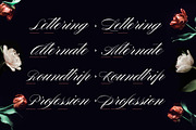 Graziosa Script Font, a Script Font by Corina Moscu (Thumbnail 8 of 10)