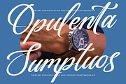 Gartenya Calligraph Modern Font, a Script Font by Letterena Studios Script (Thumbnail 11 of 19)