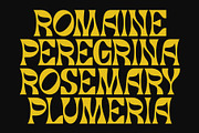 Asher | Modern Display Typeface, a Sans Serif Font by Typoraith Co (Thumbnail 4 of 9)