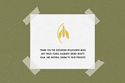 Wildflower Mood: 100 Floral Elements, an Object Illustration by Veyla (Thumbnail 13 of 13)