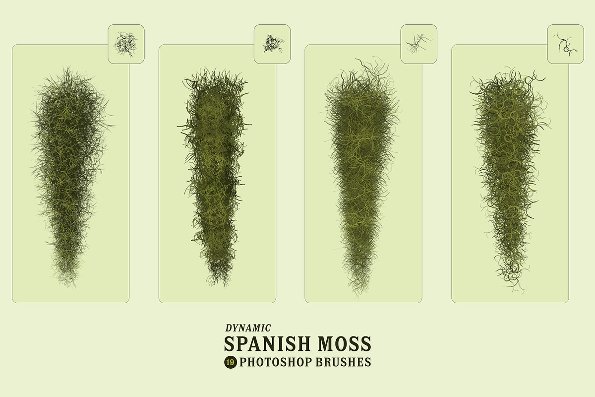 Spanish Moss Photoshop Brushes, a Brush Add-On by Mohamed Saber (Photo 2 of 5)