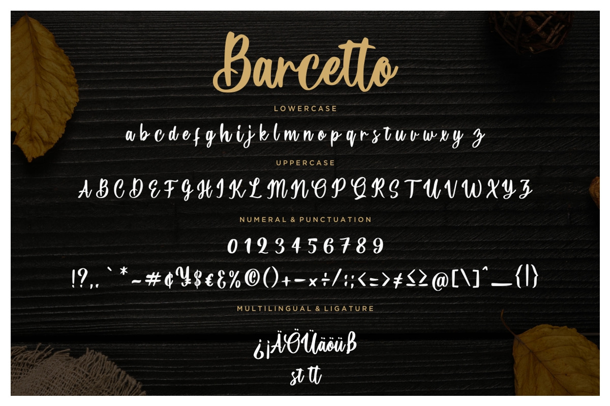Barcetto Brush Business Font preview 7