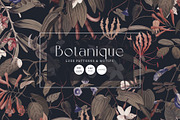 Botanique Luxe Pattern Designs, a Pattern Graphic by TSTUDIO (Thumbnail 1 of 12)