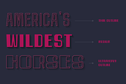 Spacho Font Family (44 Fonts), a Font by alpercakici (Thumbnail 3 of 18)