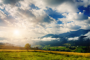 Summer mountain landscape, a Nature Photo by Nature and travel
