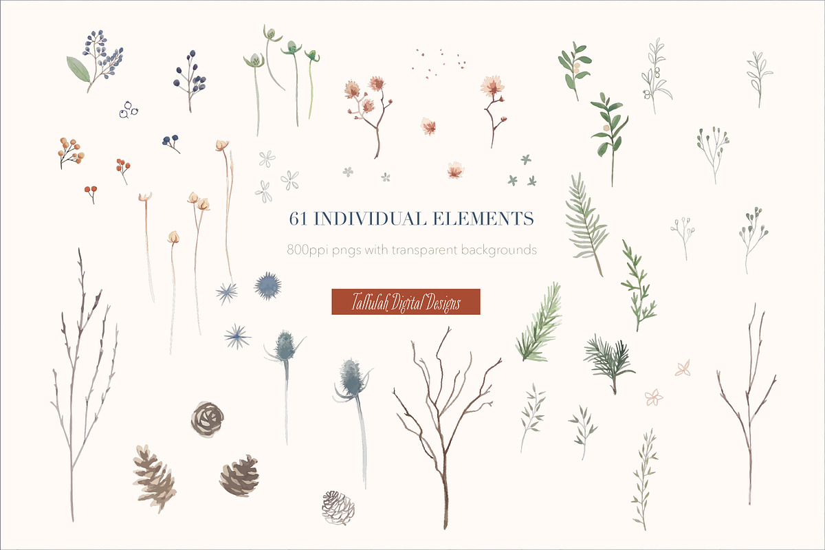Winter Berries Full Collection, an Illustration by Tallulah Digital Designs (Photo 4 of 7)