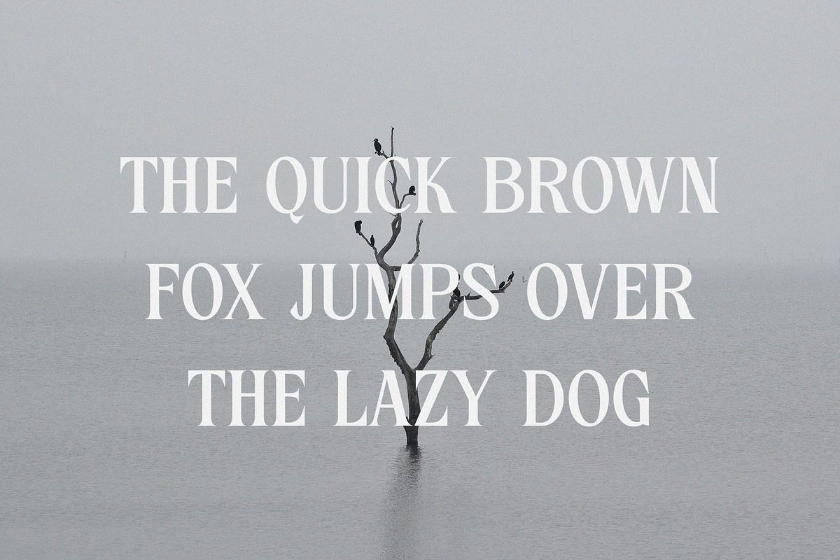 Nelington - Nostalgic Serif Font, a Serif Font by TypeLogue (Photo 2 of 5)