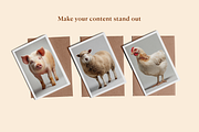 Farm Animals, an Animal Photo by Typedreams.site (Thumbnail 3 of 5)
