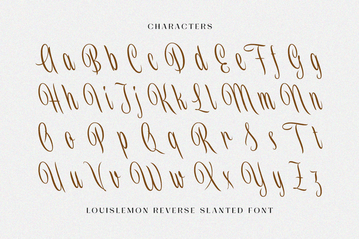 Louislemon - Reverse Slanted Display, a Script Font by Letterhend Studio (Photo 7 of 11)