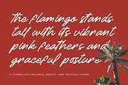 Betany Salena Monoline Brush Font, a Script Font by Letterena Studios Script (Thumbnail 10 of 15)
