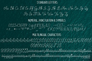 Artemia Script, a Script Font by Royaltype (Thumbnail 6 of 6)