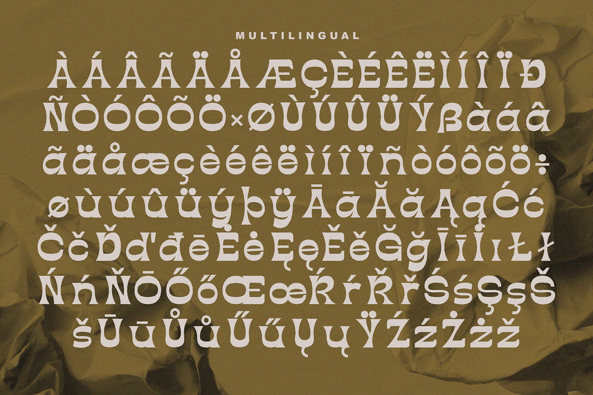 Diazy - Modern Vintage Font, a Serif Font by Salamahtype (Photo 7 of 7)