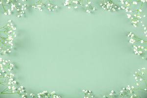Floral Frame with Babys Breath on Mint Green Background, a Holiday Photo by Natalia Klenova's Shop