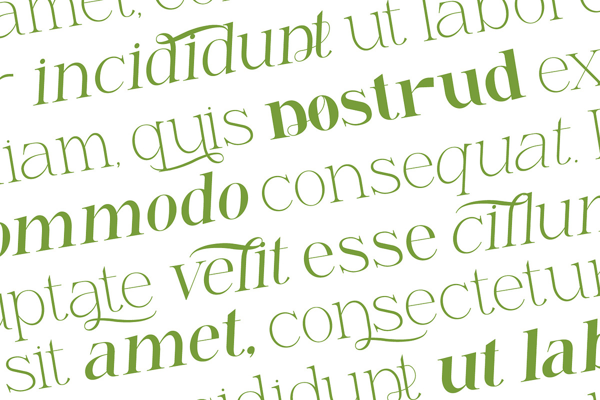 Renabyl - Serif Family Font, a Serif Font by Rishsketch (Photo 6 of 15)