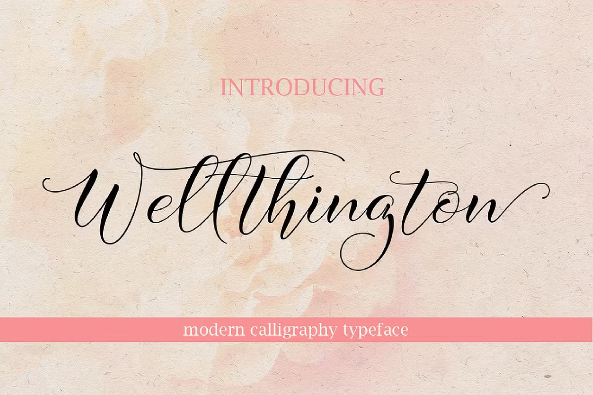 Elegant Script Font Bundle, a Script Font by Byuly Ayika (Photo 33 of 34)