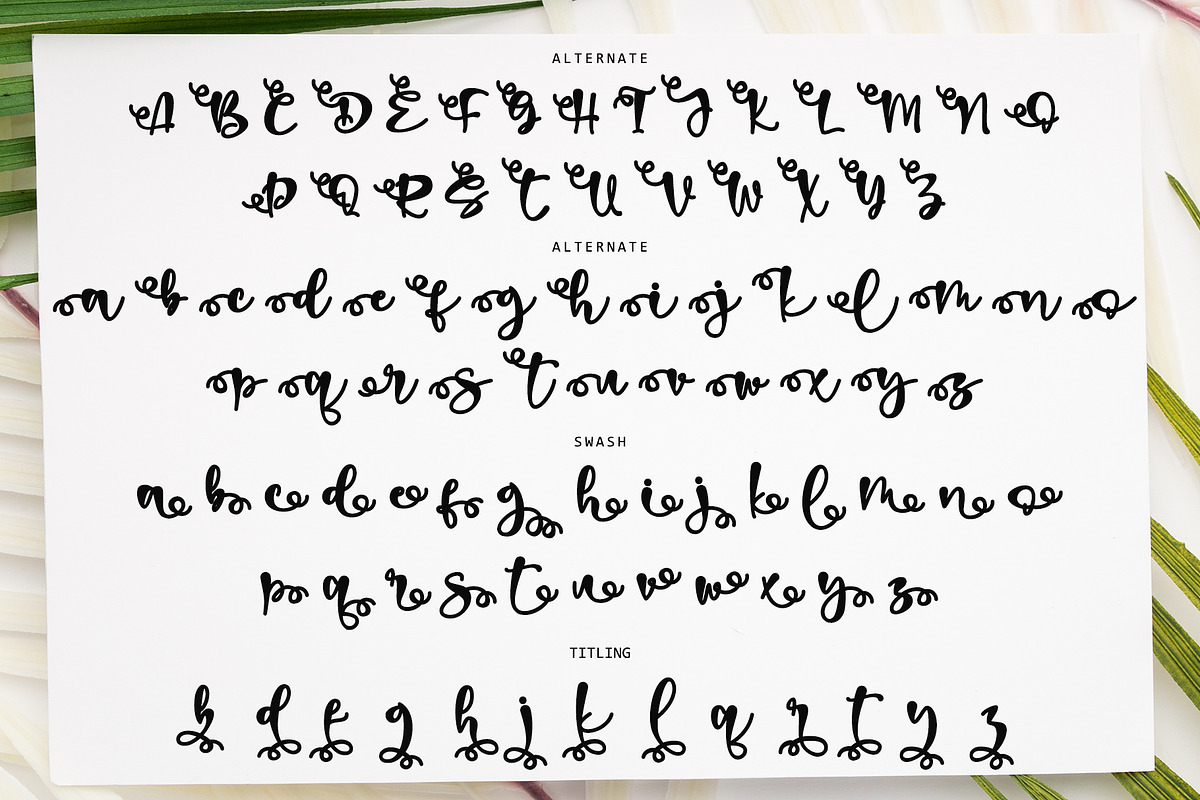 Spring Sunshine, a Script Font by Letterara (Photo 6 of 7)