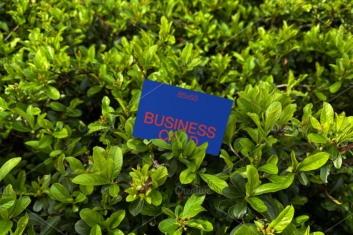 Green Leaf Business Card Mockup, a Mockup by Quirko (Photo 3 of 7)