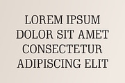 Modern Typewriter – Elegant Vintage, a Sans Serif Font by Limited.studio (Thumbnail 4 of 5)