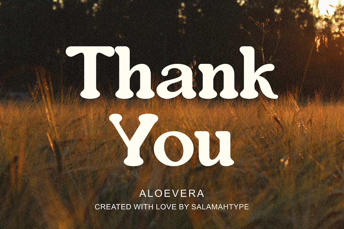 Aloevera - Modern Retro Serif, a Serif Font by Salamahtype (Photo 10 of 10)