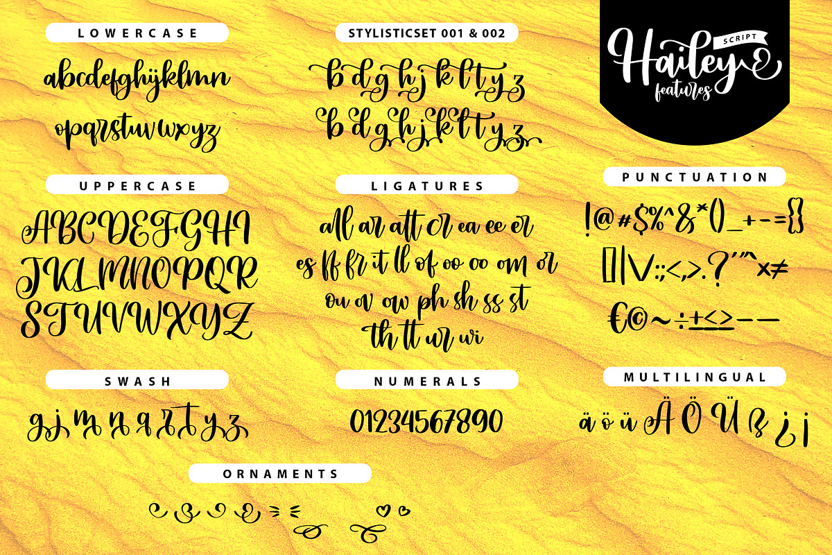Hailey - Cute and Bold Script, a Script Font by Typefactoryco (Photo 6 of 7)