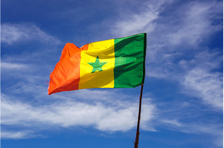 Senegal flag waving in the wind, a School & Education Photo by Nick Fox