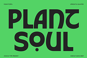 Fleur Porta | Display Sans, a Sans Serif Font by Jolicia Type (Thumbnail 12 of 14)