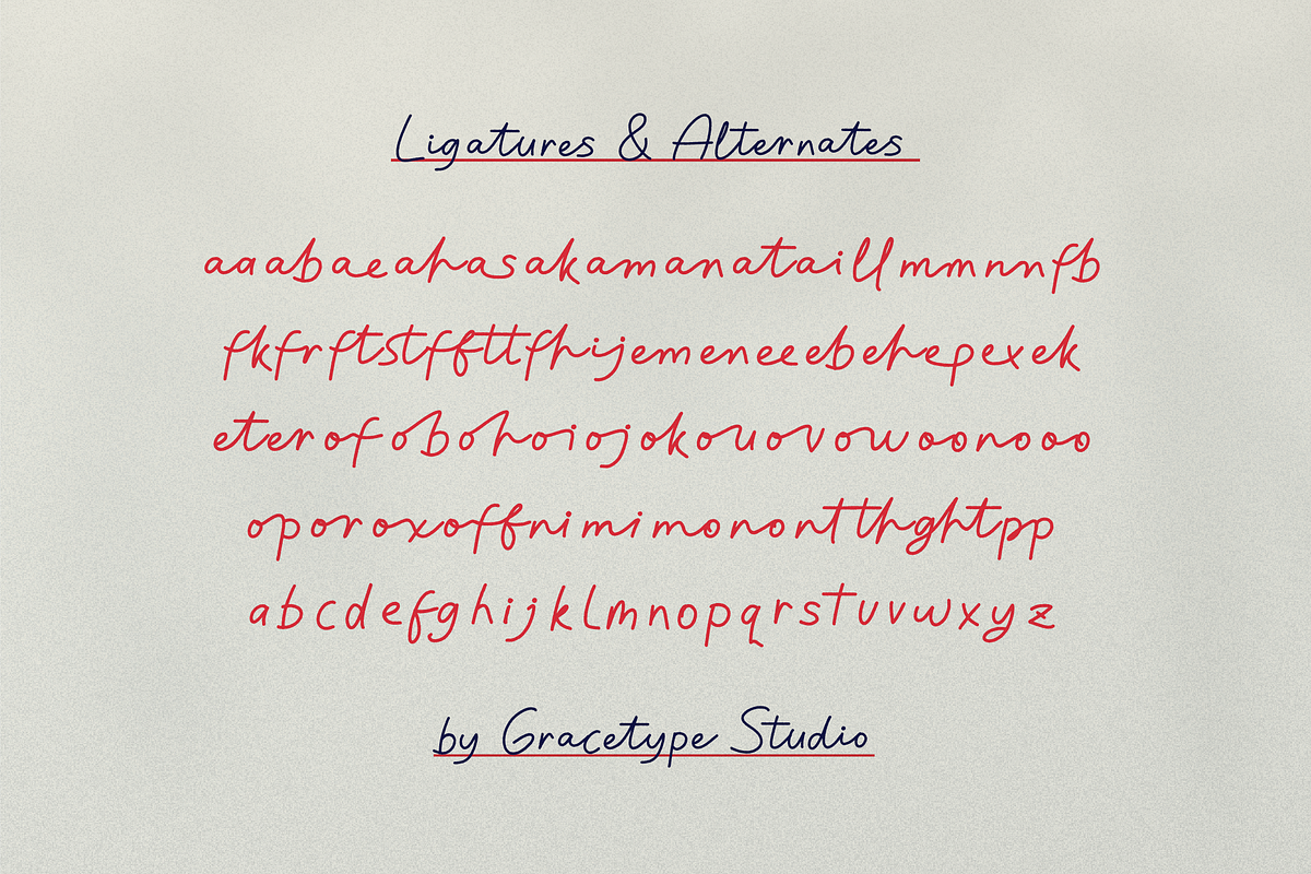 Looseform Pressure Script, a Script Font by gracetype_studio (Photo 11 of 12)