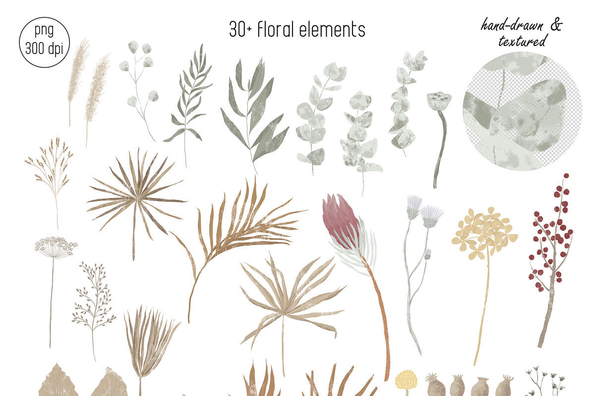 Dried flowers and backgrounds, an Object Graphic by dasha mo (Photo 3 of 6)