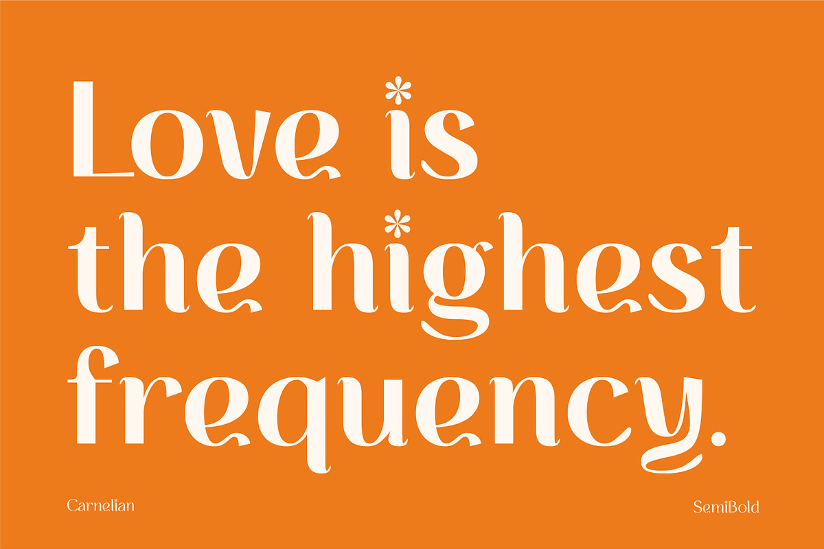 CARNELIAN - Display Variable Type, a Sans Serif Font by Artflorara (Photo 7 of 16)