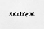 Luxinus Elegance Serif Family, a Serif Font by suhadidesign (Thumbnail 14 of 16)