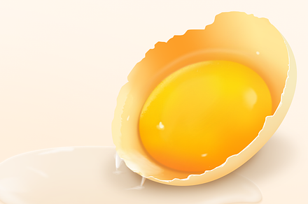 Broken Egg with Liquid Substance