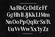 New Shuffle - Modern Serif Family Fo, a Serif Font by Flawless And Co (Thumbnail 7 of 10)